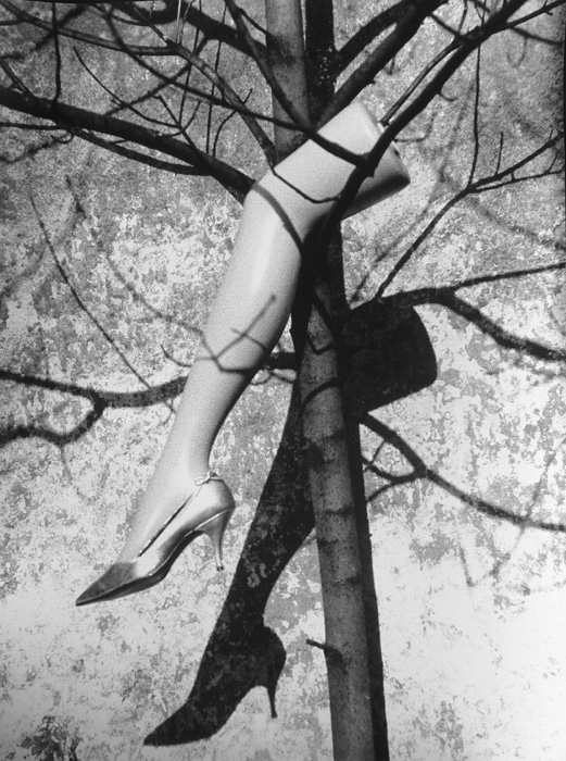 Marcel Marien - Le Fruit Defendu (The Forbidden Fruit) Marcel Marien - Le Fruit Defendu (The Forbidden Fruit)