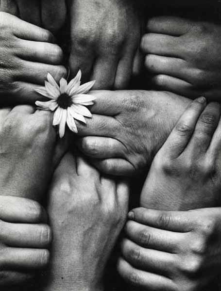 Photo Detail - Michel Joly - Hands and Flower (Fleur aux Poings)