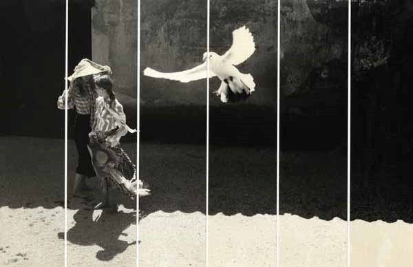 David Hamilton - Girls with White Dove David Hamilton - Girls with White Dove