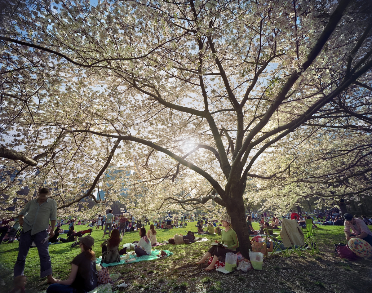 Jerry Spagnoli - Sheep Meadow, Central Park, NYC (from "Local Stories" Series)