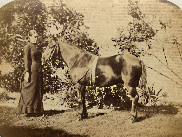 Anonymous - Lady with Horse Anonymous - Lady with Horse