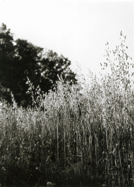 Jacques-Henri Lartigue - Passage au Château des Essarts, Veyvialle, France Jacques-Henri Lartigue - Passage au Château des Essarts, Veyvialle, France