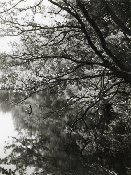 Jacques-Henri Lartigue - Passage au Château des Essarts, Veyvialle, France Jacques-Henri Lartigue - Passage au Château des Essarts, Veyvialle, France