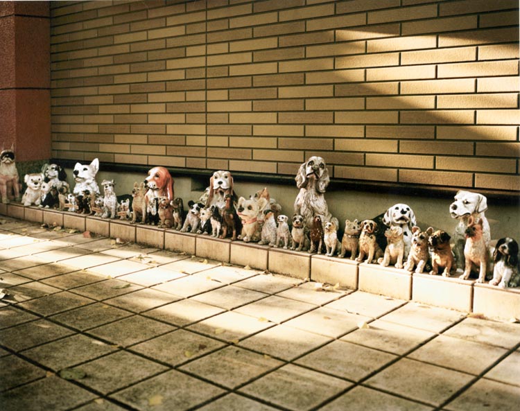 Emily Shur - Dog Statue, Takao, Japan