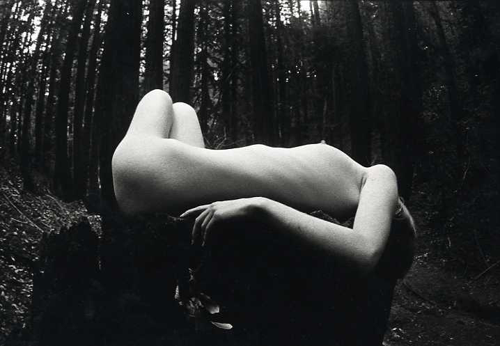 James Fee - Female Nude in Forest James Fee - Female Nude in Forest