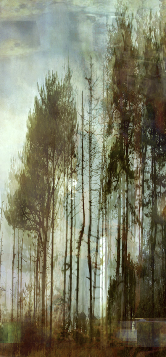 Lisa Holden - Blue Trees (from Series "Constructed Landscapes") Lisa Holden - Blue Trees (from Series "Constructed Landscapes")