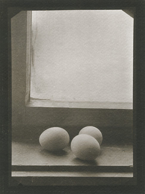 Richard Homola - Still Life (Eggs on Shelf next to Window) Richard Homola - Still Life (Eggs on Shelf next to Window)