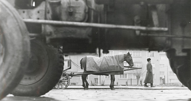 Photo Detail - Drahotin Sulla - Untitled (Horse Pulling Wagon)