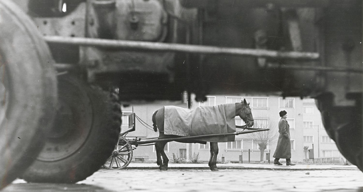 Drahotin Sulla - Untitled (Horse Pulling Wagon) Drahotin Sulla - Untitled (Horse Pulling Wagon)