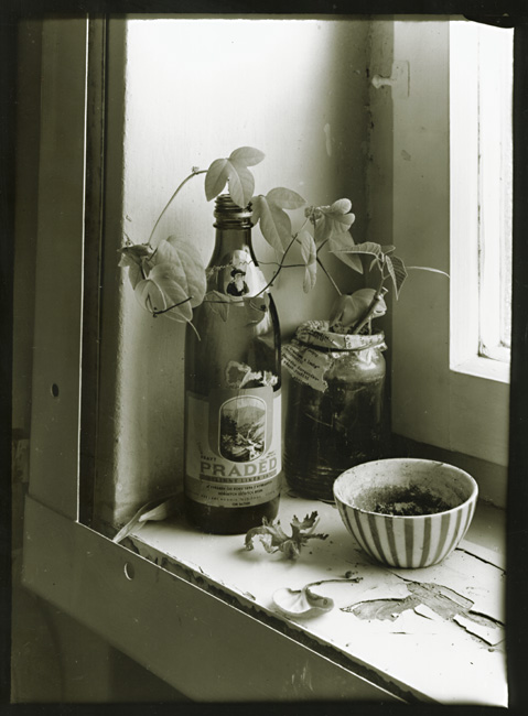Petr Helbich - Window Sill Still Life Petr Helbich - Window Sill Still Life