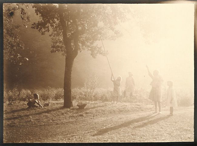 Leonard Misonne - Picking Fruit in the Sunlight Leonard Misonne - Picking Fruit in the Sunlight