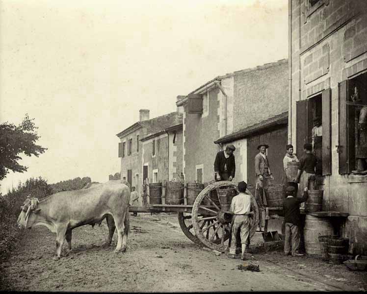 Artigue - Unloading Grapes at the Winery Artigue - Unloading Grapes at the Winery