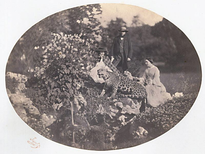 Auguste Jugelet - Album of Salt Prints, including Group with Leopard Auguste Jugelet - Album of Salt Prints, including Group with Leopard
