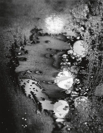 Photo Detail - Minor White - Beginnings, Frosted Window, Rochester, NY