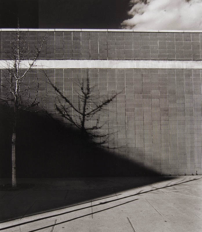 Tom Baril - Ribbed Wall (shadows), NYC