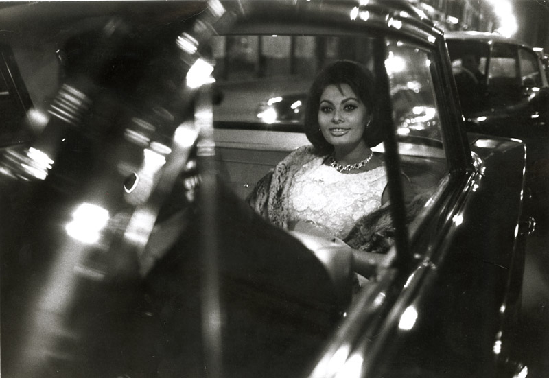 Sharok Hatami - Sophia Loren Sharok Hatami - Sophia Loren