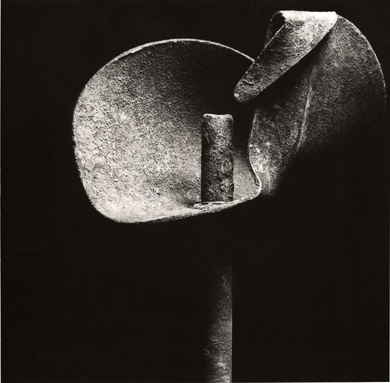 Ladislav Postupa - Flower Ladislav Postupa - Flower
