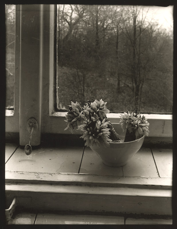 Petr Helbich - Still Life on a Window Sill Petr Helbich - Still Life on a Window Sill