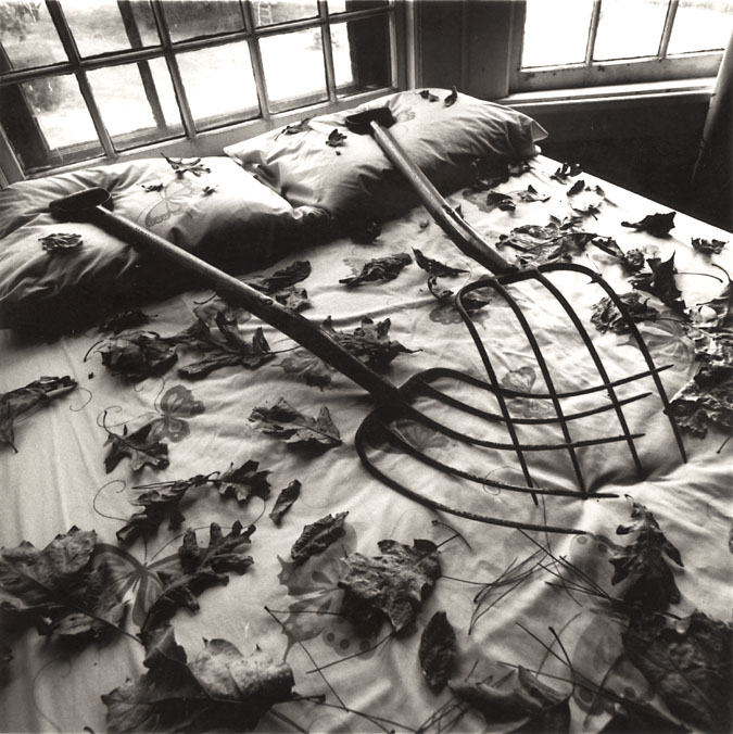Arthur Tress - Making Leaves, Cold Spring, NY Arthur Tress - Making Leaves, Cold Spring, NY