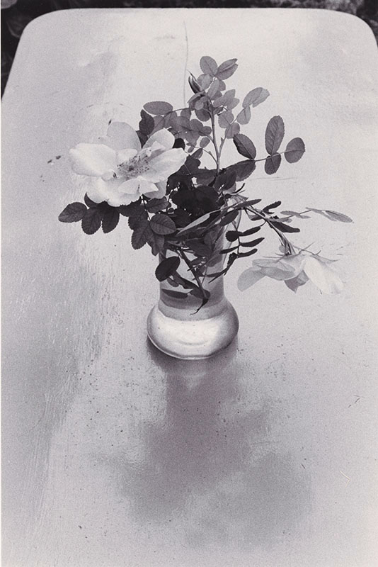 Edouard Boubat - Fleurs des Champs, Forêt de Fontainebleau Edouard Boubat - Fleurs des Champs, Forêt de Fontainebleau