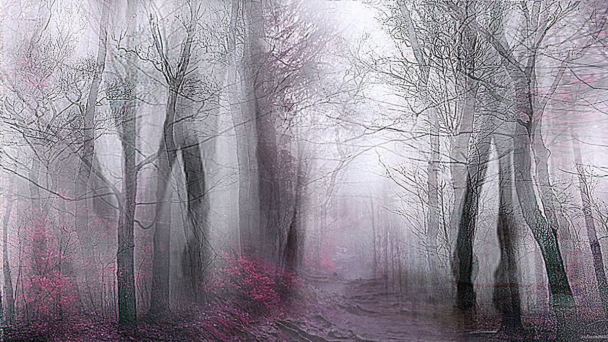 Lisa Holden - Pale Forest (from Series "Constructed Landscapes") Lisa Holden - Pale Forest (from Series "Constructed Landscapes")