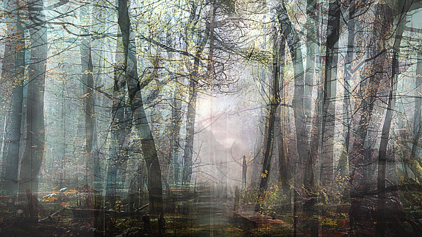 Lisa Holden - Night Forest (from Series "Constructed Landscapes") Lisa Holden - Night Forest (from Series "Constructed Landscapes")