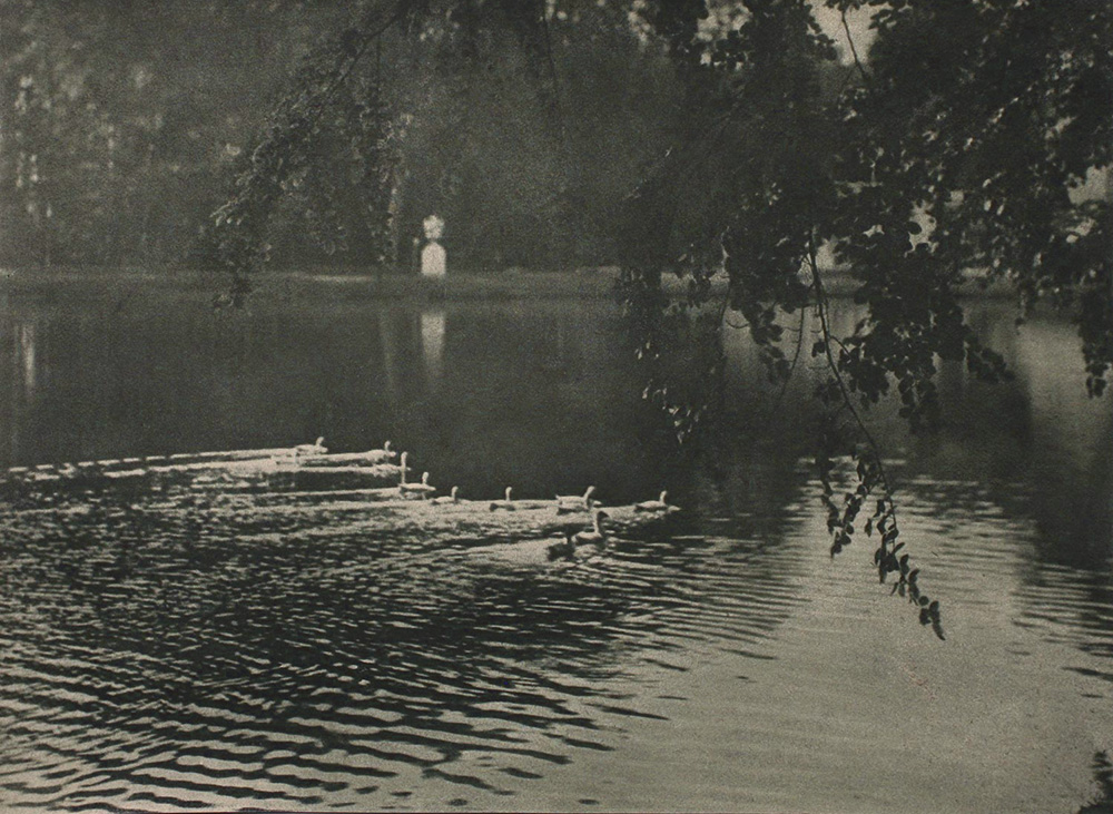 Jozef Emiel Borrenbergen - From the Portfolio "Rivierenhof" V Jozef Emiel Borrenbergen - From the Portfolio "Rivierenhof" V