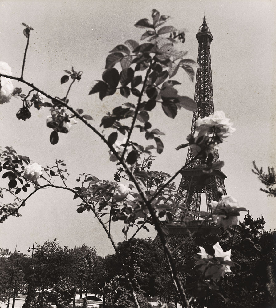 Photo Detail - Albert Monier - Eiffel Tower in Spring, Paris
