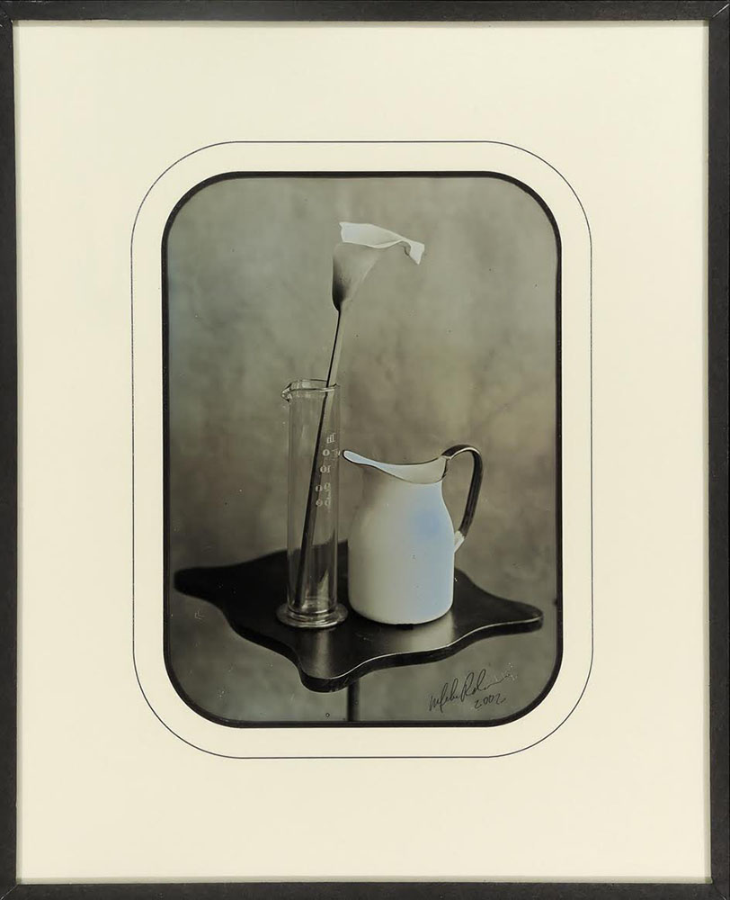 Photo Detail - Mike Robinson - Lily & Pitcher 1
