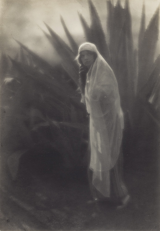 Edward Weston - Maud Allan with Century Plant