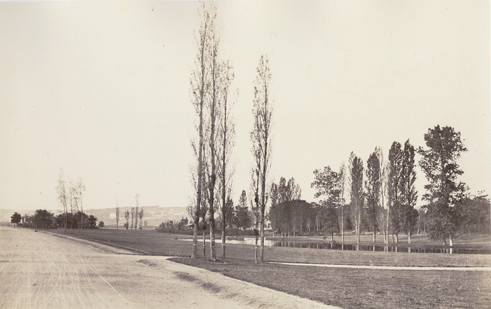 Charles Marville (dit), Charles-François Bossu - Paysage, Bois de Boulogne