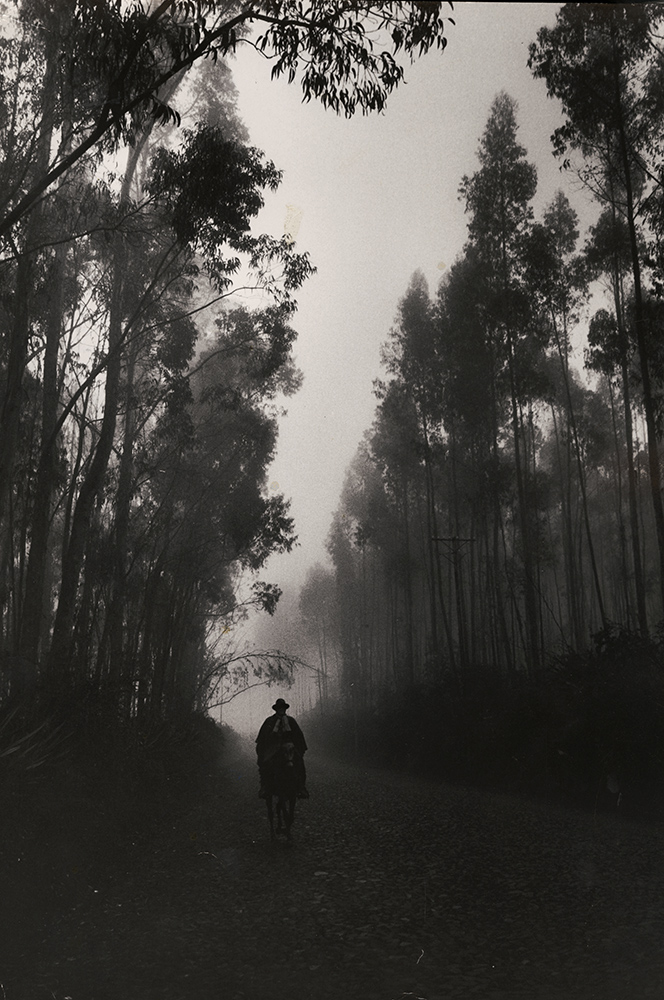 Cornell Capa - Forested Road, Equador Cornell Capa - Forested Road, Equador