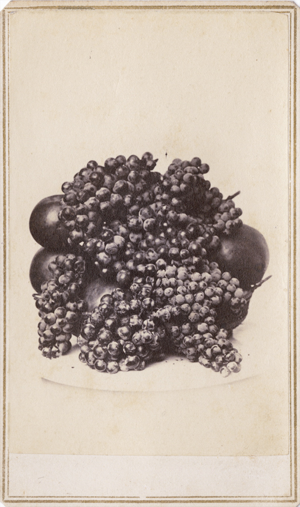 James A. - Bunches of California Grapes and Apples