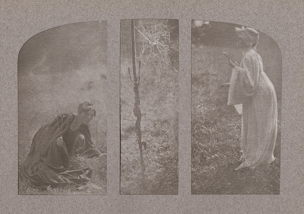 Clarence H. White - The Spider-Web
