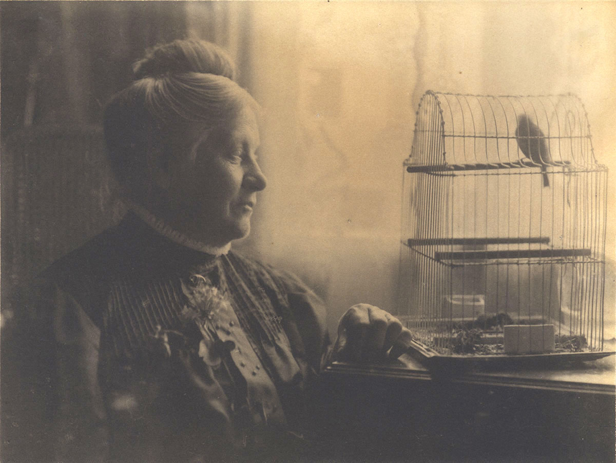 Eva Watson-Schütze - Untitled (Woman with Birdcage) Eva Watson-Schütze - Untitled (Woman with Birdcage)