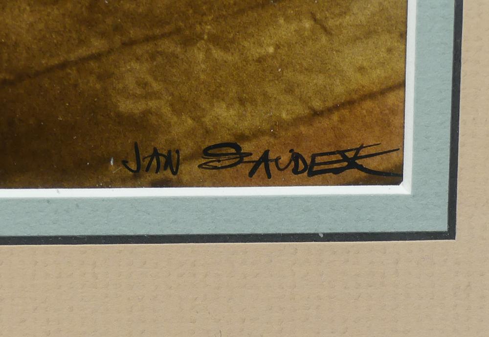 Photo Detail - Jan Saudek - Karolina (also, Z. Ravorina In Victorian Style)