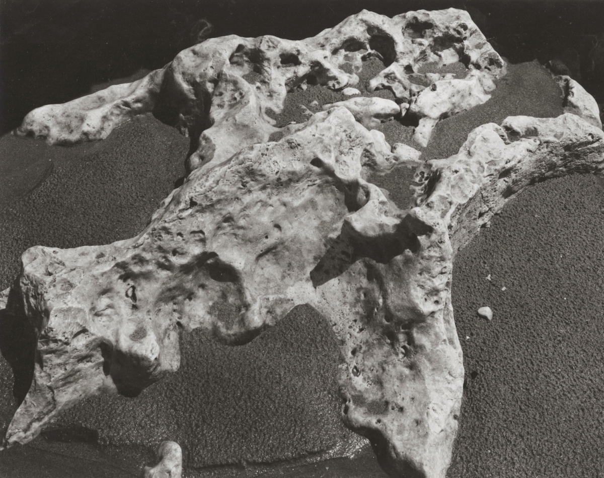 Brett Weston - Rock Brett Weston - Rock