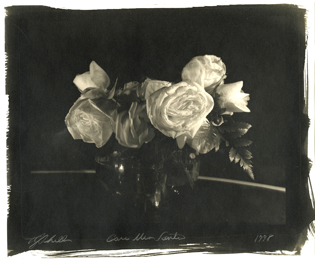 Thomas John Shillea - Moonlight and Roses Thomas John Shillea - Moonlight and Roses