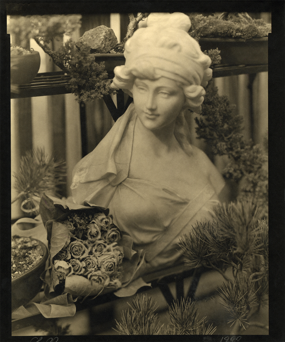 Thomas John Shillea - Statue and Roses Thomas John Shillea - Statue and Roses