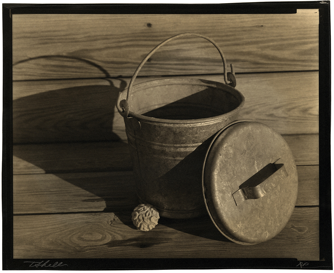 Thomas John Shillea - Pail and Coral Thomas John Shillea - Pail and Coral