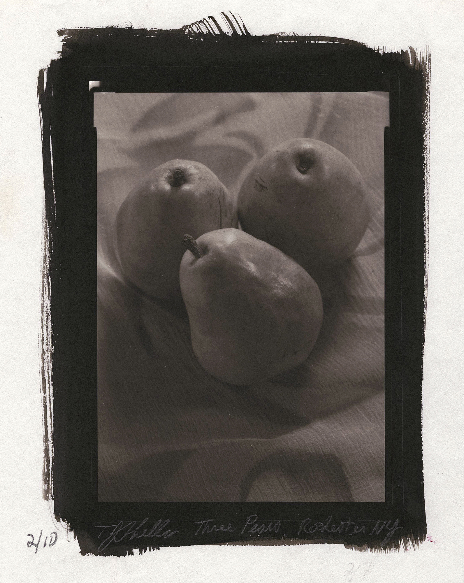 Thomas John Shillea - Three Pears Thomas John Shillea - Three Pears
