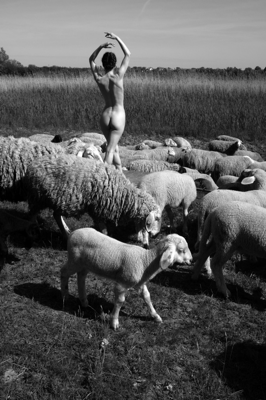 Stanko Abadžic - Unexpected Meeting (Female Nude among the Sheep in Serbia) Stanko Abadžic - Unexpected Meeting (Female Nude among the Sheep in Serbia)