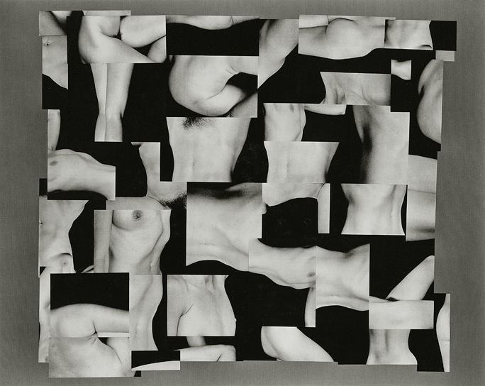 Paula Chamlee - Nude Collage #1