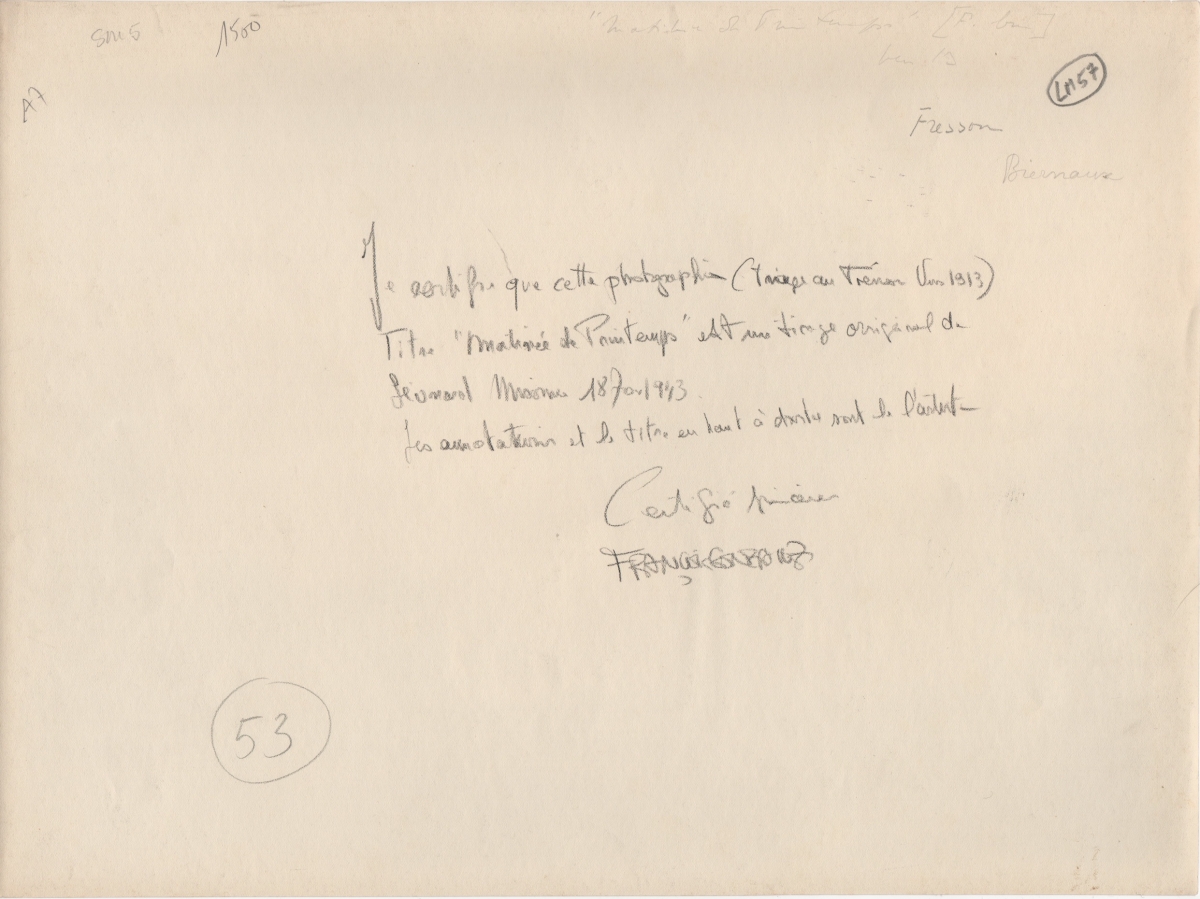 Photo Detail - Leonard Misonne - Matinée de Printemps (Spring Morning) Photo Detail - Leonard Misonne - Matinée de Printemps (Spring Morning)
