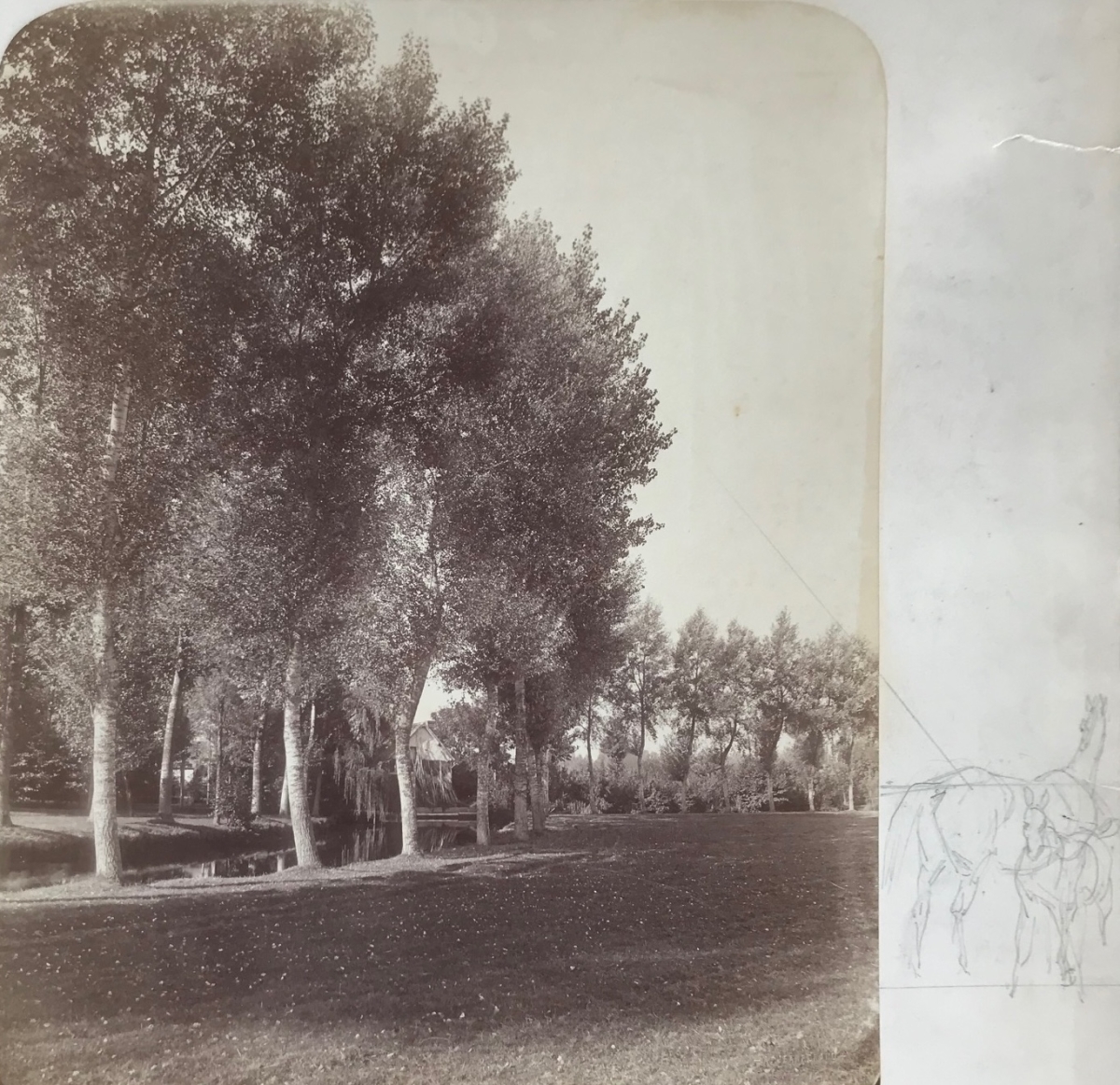 Photo Detail - Alphonse François Jeanrenaud - Trees and River Photo Detail - Alphonse François Jeanrenaud - Trees and River