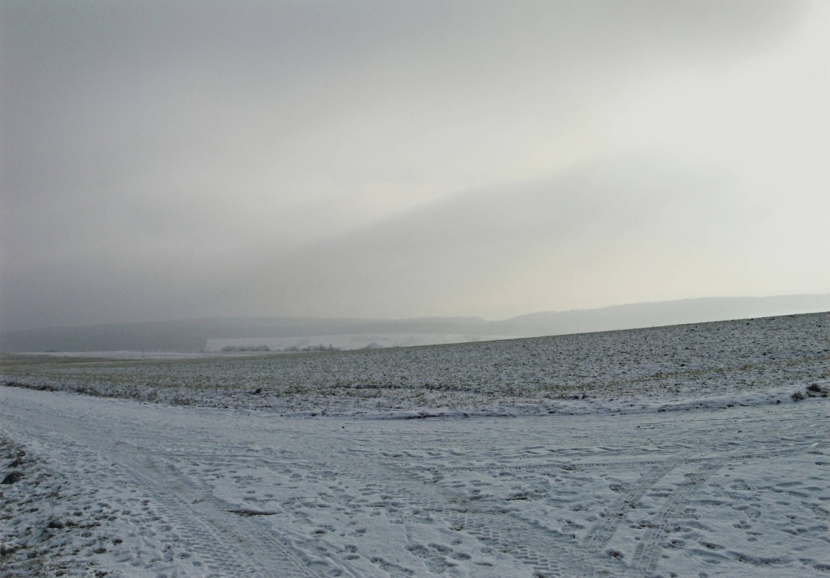 Thomas - Odenwald Thomas - Odenwald