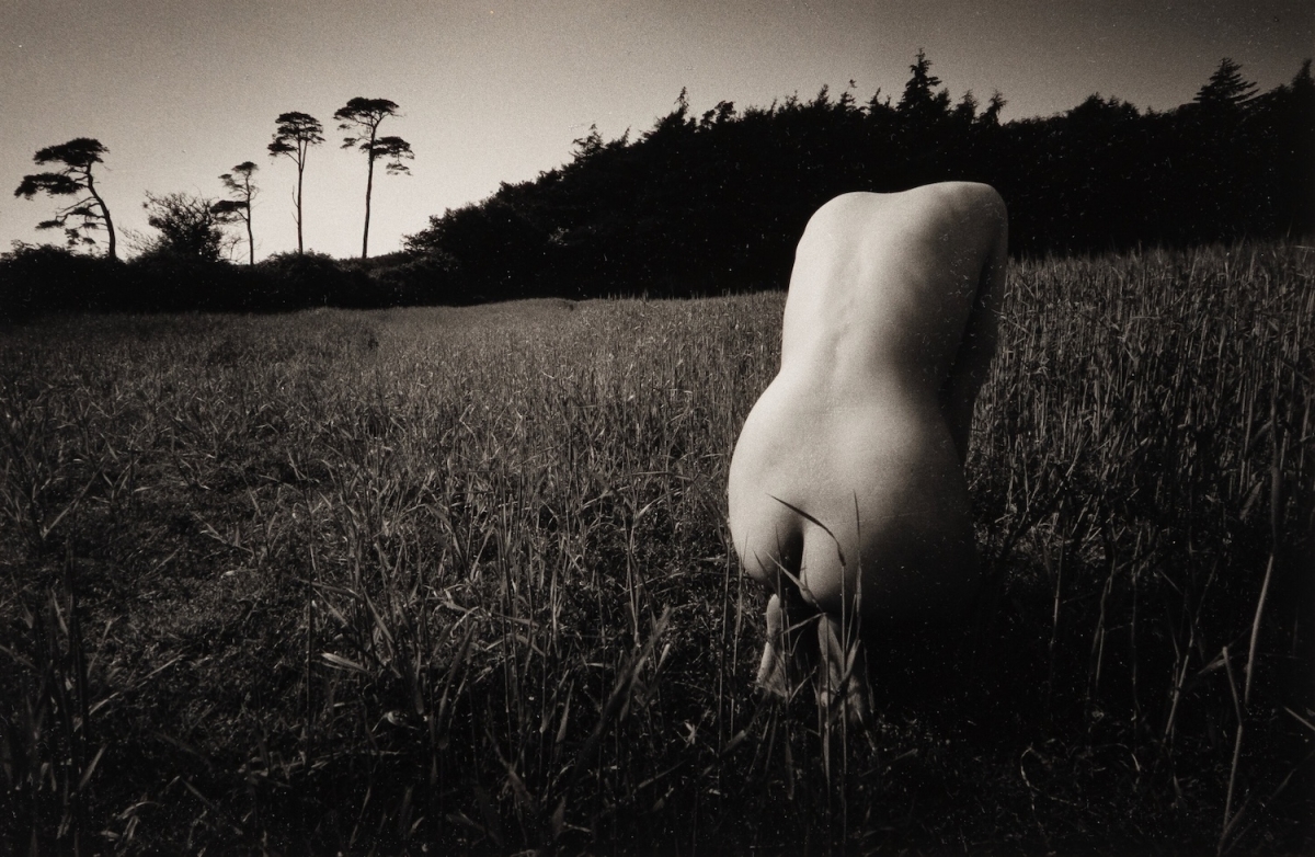John - Untitled (Nude in Field)