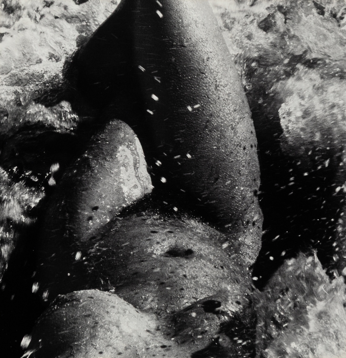 Photo Detail - Lucien Clergue - "La Femme, la Mer et des Sables" Photo Detail - Lucien Clergue - "La Femme, la Mer et des Sables"