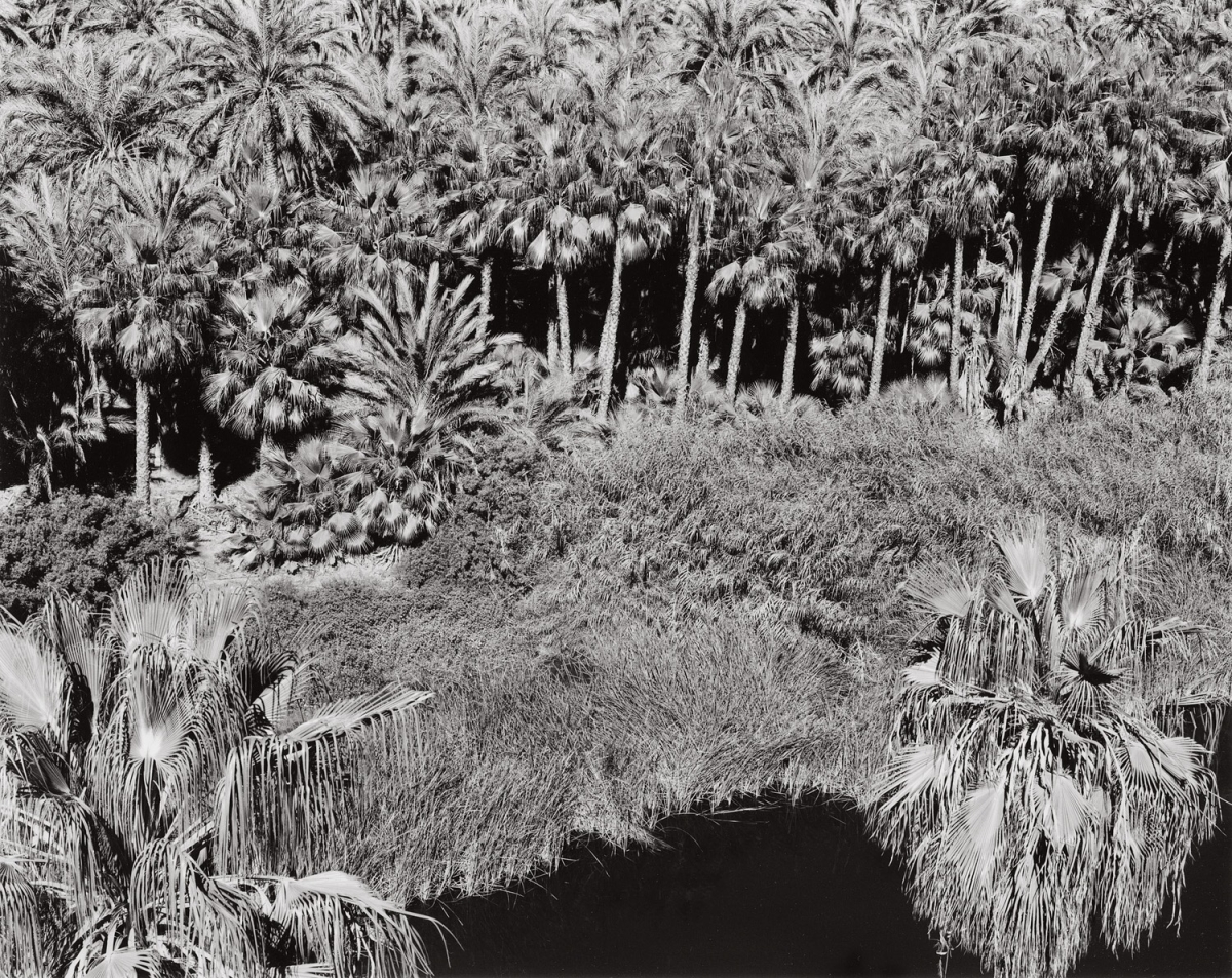 Paula Chamlee - Mulegé, Baja California, Mexico, 2003 Paula Chamlee - Mulegé, Baja California, Mexico, 2003