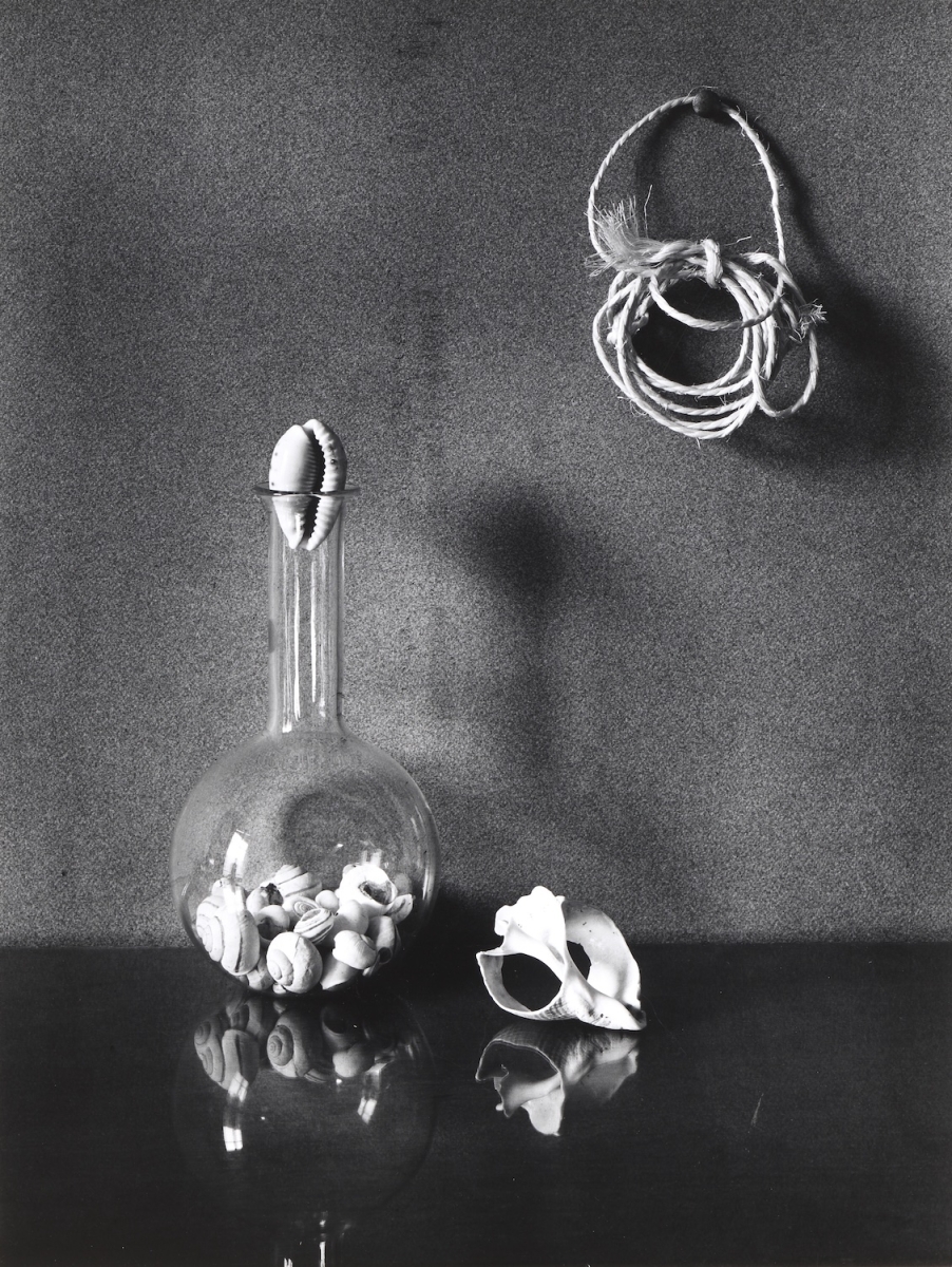 Jean-Pierre Sudre - Coquillages à la Ficelle Jean-Pierre Sudre - Coquillages à la Ficelle